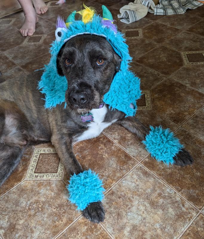 I couldn't get the Velcro to touch around his belly bc it was too small