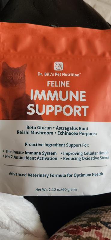 feline glutathione DR. BILL'S PET NUTRITION Immune Support Cat Supplement Powder, 60-gm pouch buy glutathione gummies online