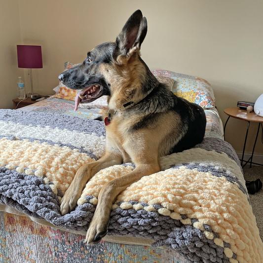 Royal canin outlet german shepherd review