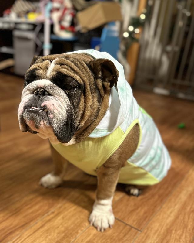 Stanley also works for salmon treats.
