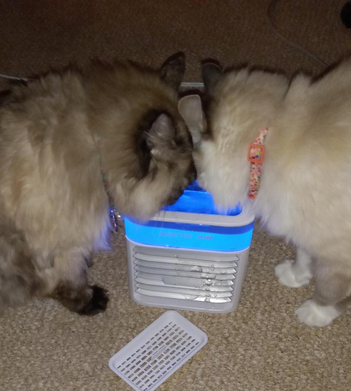 FRISCO MultiFunction Covered Cat Litter Box, 29in, With Tray