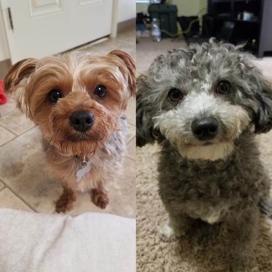 Lucy and Max