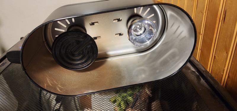 Daylight lamp and heater setup.