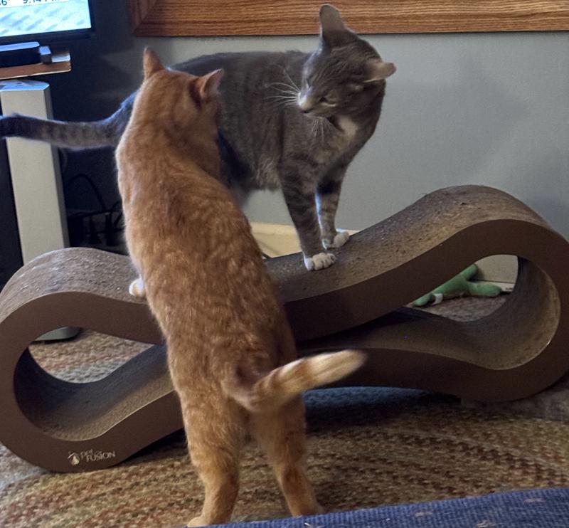 The lounger makes sparring more interesting