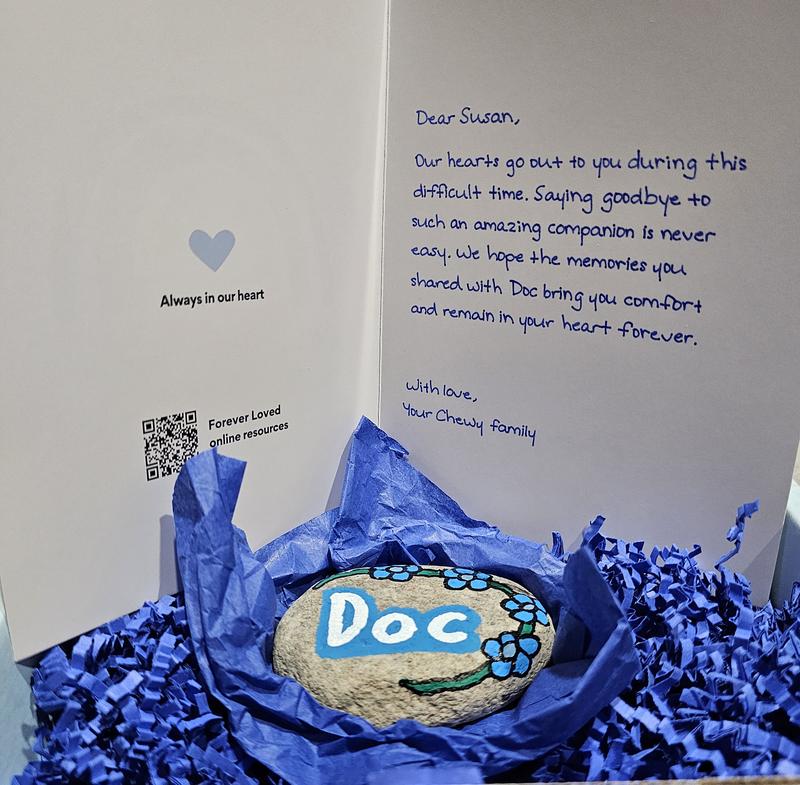 Not long after the ornament arrived I received the pictures box with a rock painted with Doc's name and a card with an amazing sentiment. Chewy really cares about their customers!