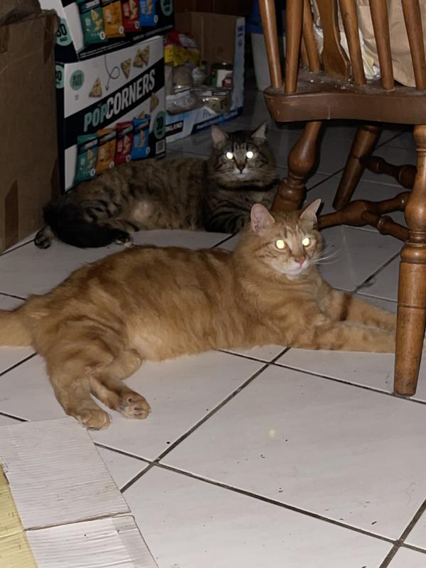 What is that ? Yes here is my favorite toy