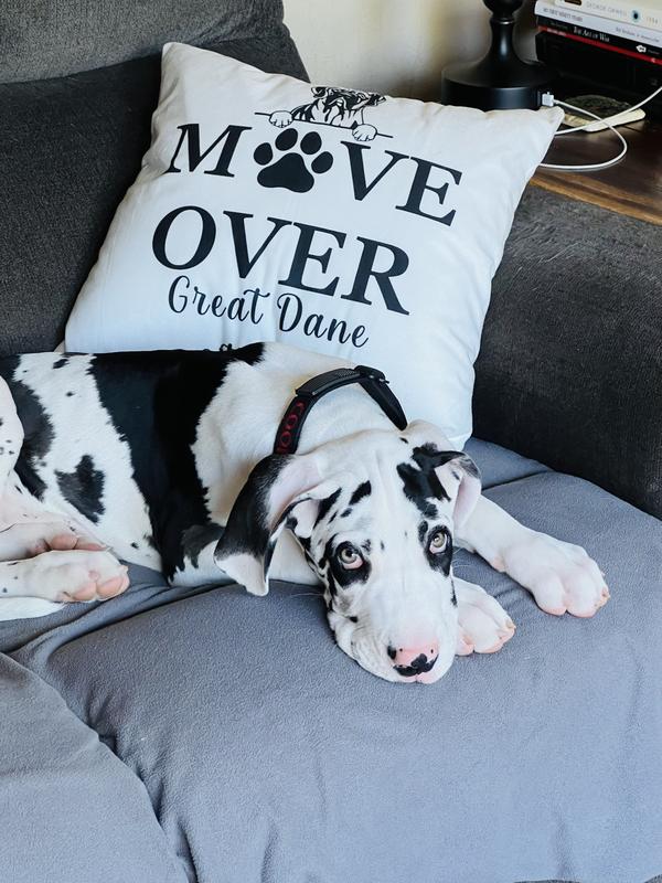 The greatest food for the greatest breed!