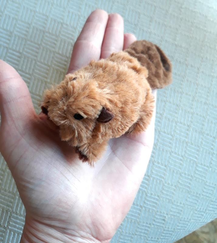 KONG Plush Beaver Dog Toy Small Chewy