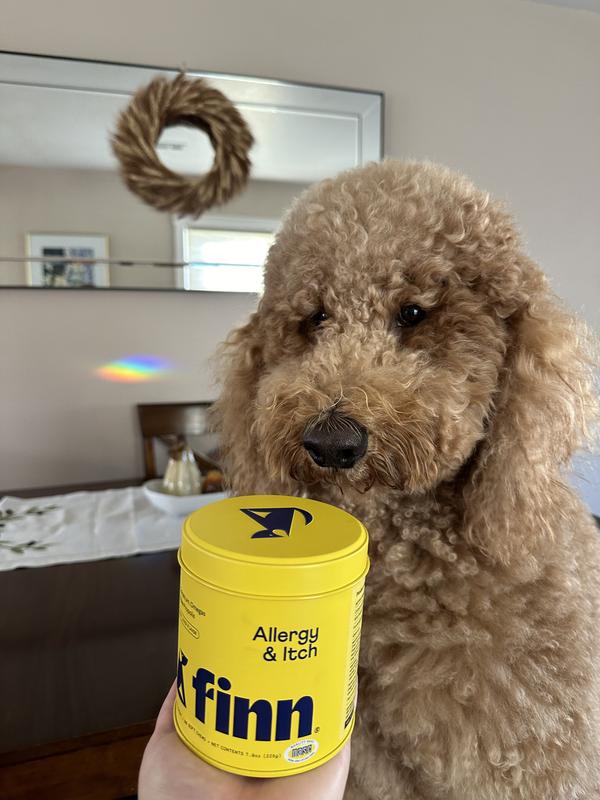 FINN Allergy & Itch Beef Liver Flavored Soft Chew Allergy Supplement for Dogs, 90 count