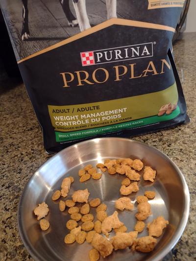 Pro plan weight management dog outlet food