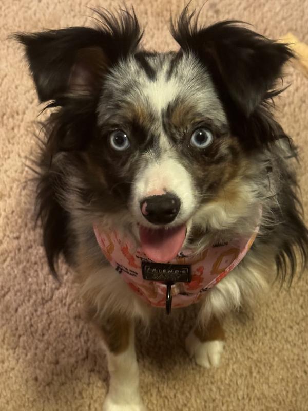 That’s about as good as I could get.