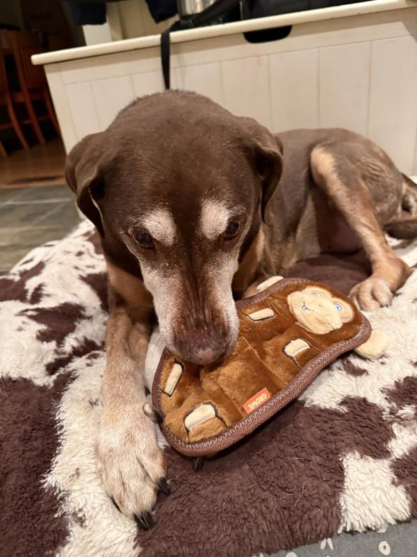 Trying to get those squeakers! She loves them so much and there are so many in this!  So far she hasn’t been able to chew though to get them out which is great for mel. I do think she likes to have a fluffier kind of toy though and this one is quite flat.