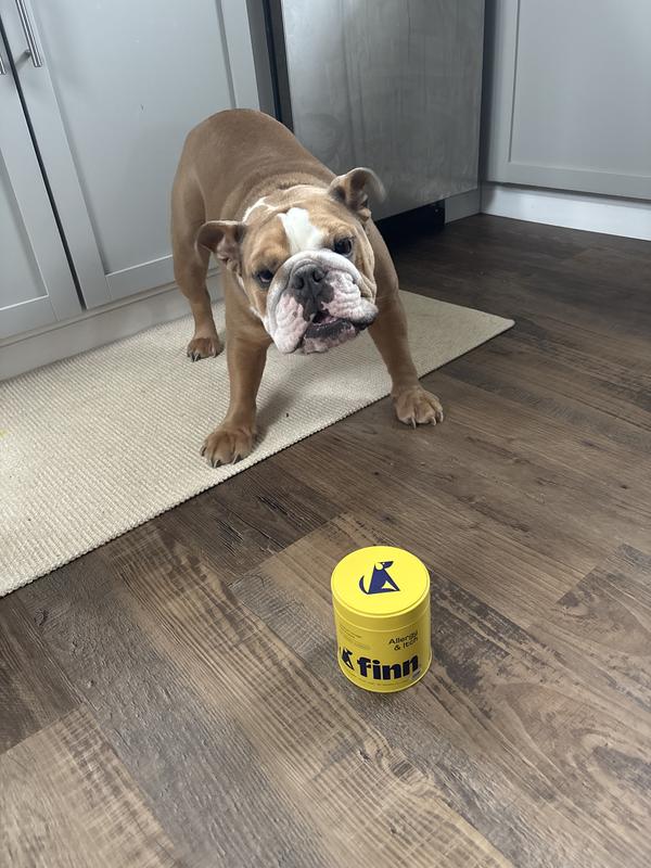 Barking for a FINN TREAT!