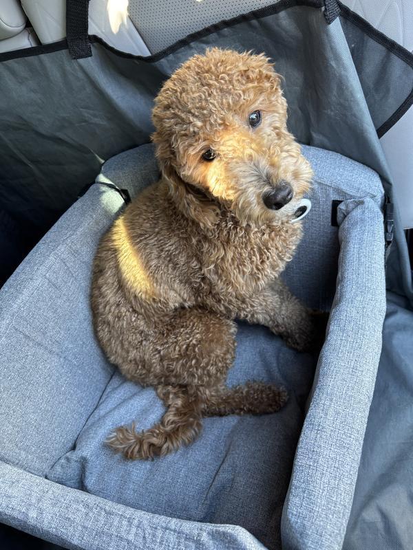 Angie to see room from the top