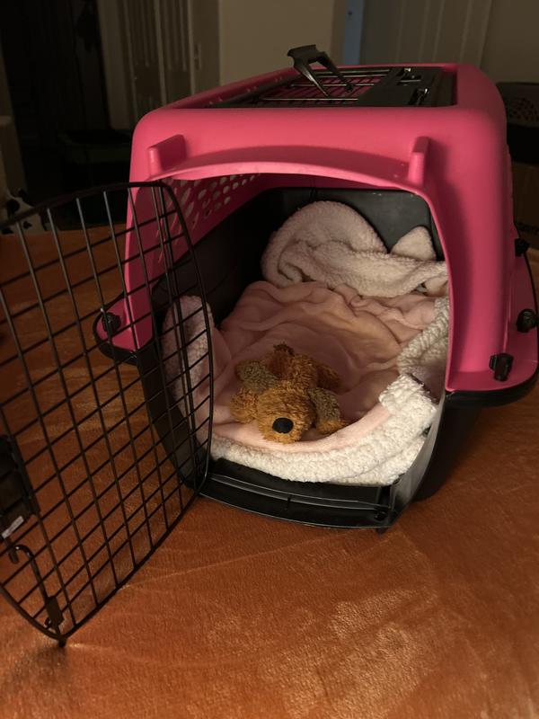 Pink Soft Cage For Dogs FRISCO Two Door Top Load Plastic Dog Cat