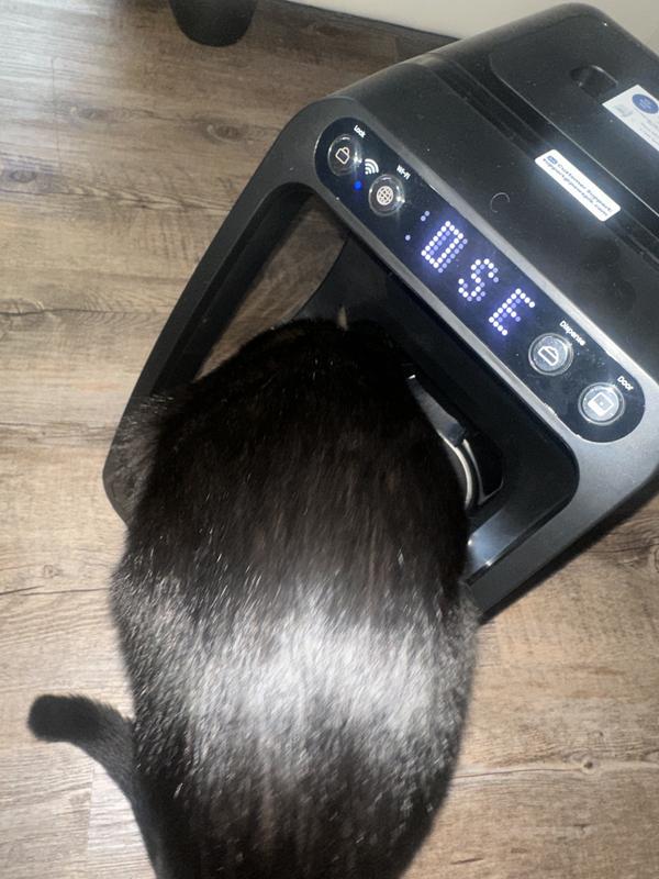 Product Reviews for PAWSPIK Automatic Microchip RFID Cat Feeder