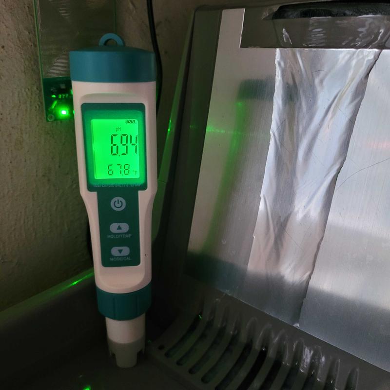 pH of Catwater after ~4 hours, data 2