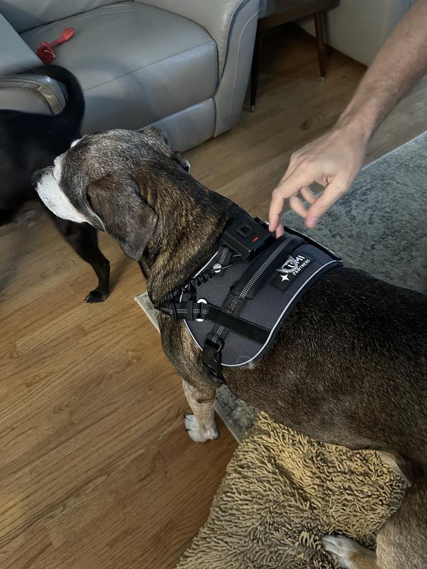 Makes me feel safe, against my dog escaping!