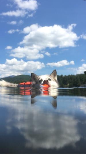 Effertlessly swimming along in her vest