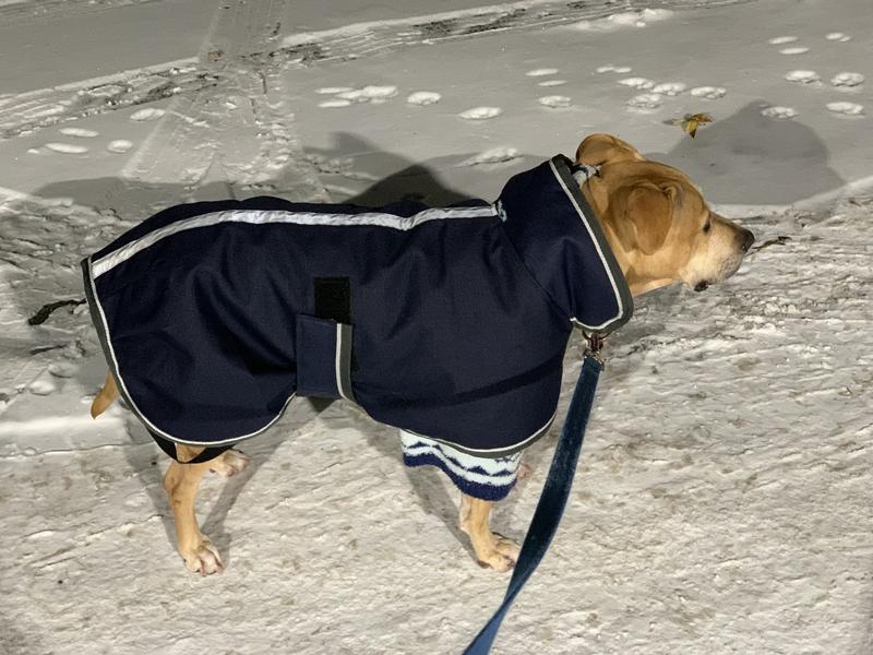 Minus 7 degrees with a Frisco Snuggle Up Hoodie as an underlayer.