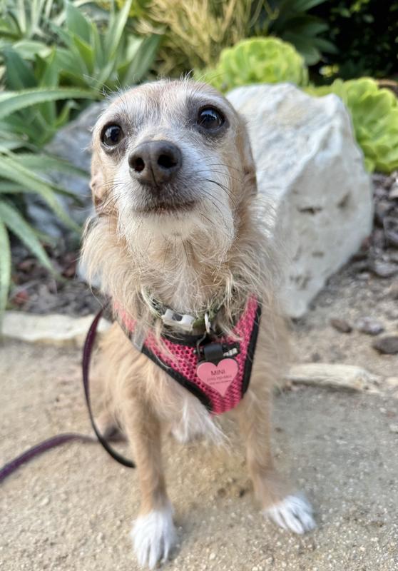 A walk after a delicious dinner