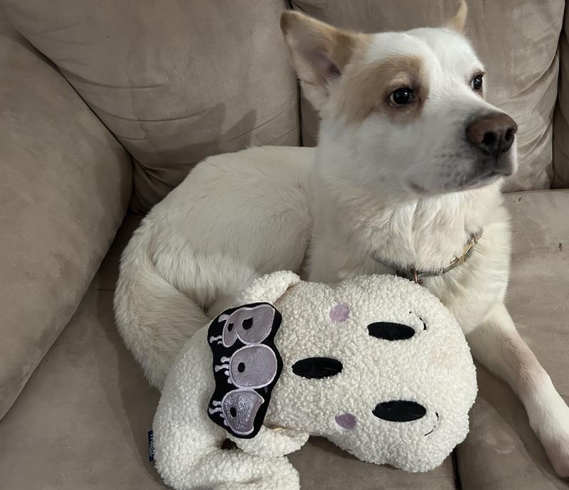 My boy enjoying his plush toy, he’s 45 pounds for reference!