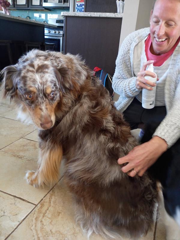 Atlas enjoyed the rubbing in