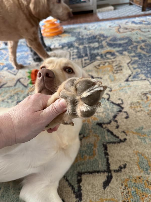 I wish I had taken a before pic but look at these smooth toesies!