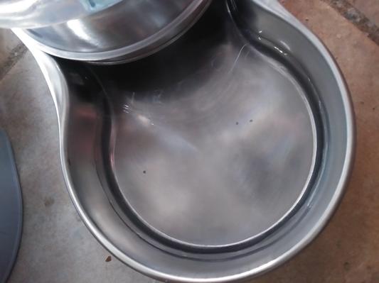 Stainless steel gravity water bowl sale