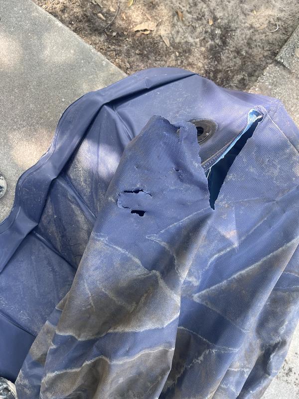 After it dried for pictures