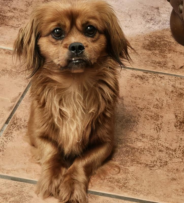 waiting for her treat!