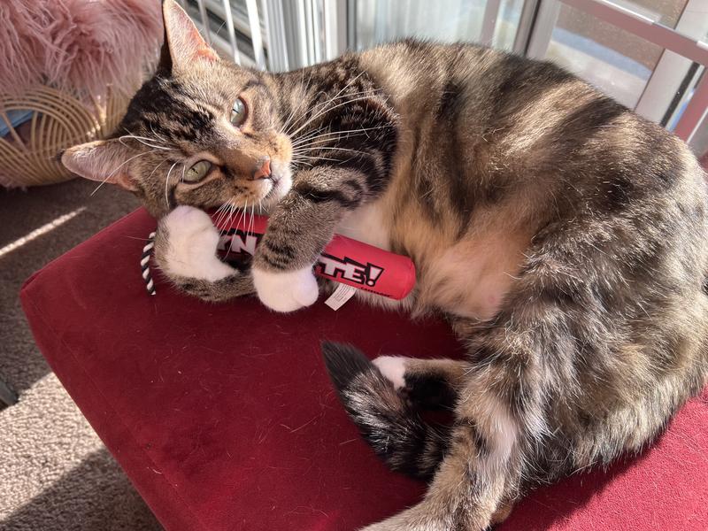 You risk getting your fingers and hands and arms, torn apart, trying to get this away from my boy