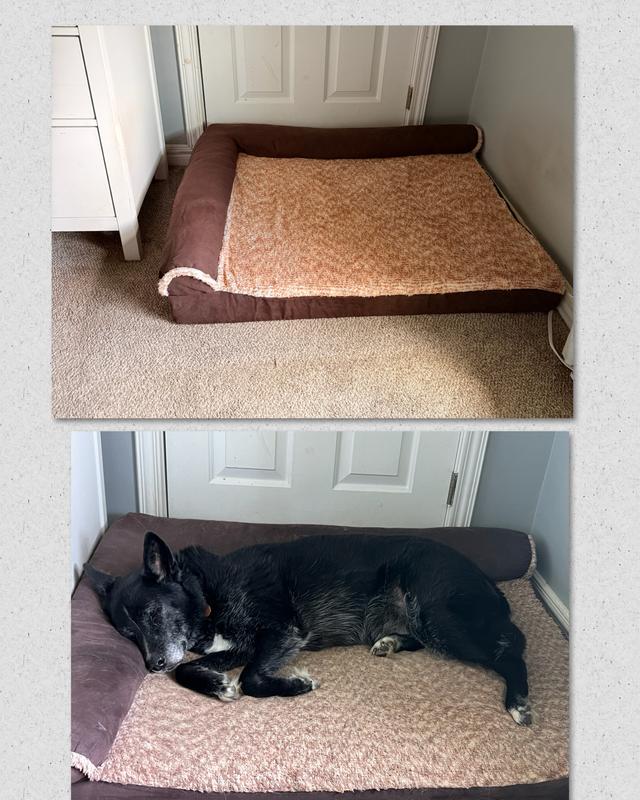 Top-new bed same place as existing bed noticeably smaller. Bottom- previous bed 80lb pooch very comfy