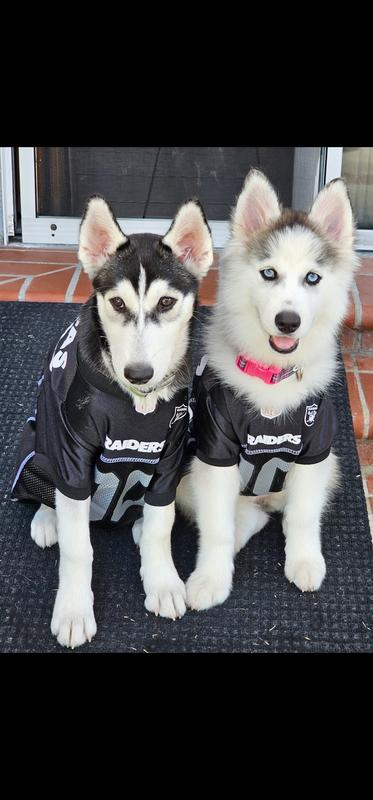 Newest Raider Fans!