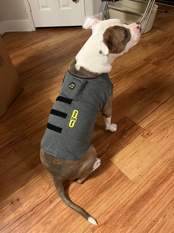 do thunder coats for dogs work