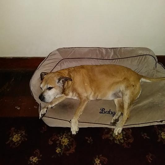 Ol Baby Girl