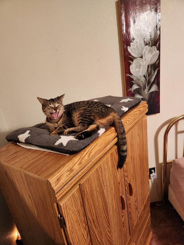 Daisy is telling you that it's not sliding after mom fixed it.