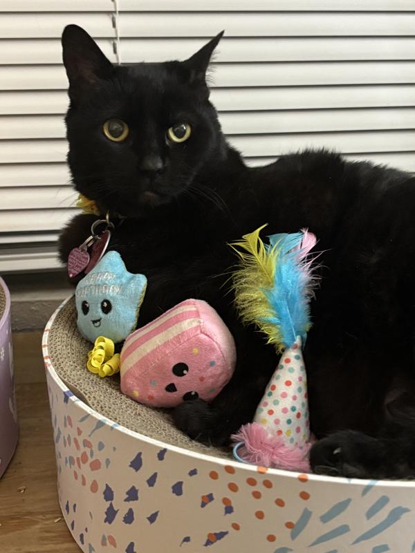 Birthday girl Damita, this is her 13th birthday 🖤