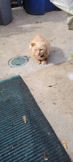 My little guy, JOEY....