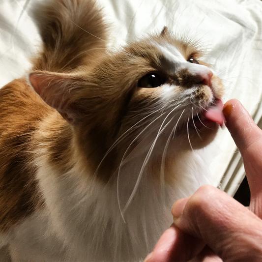 Opal LOVES this stuff!