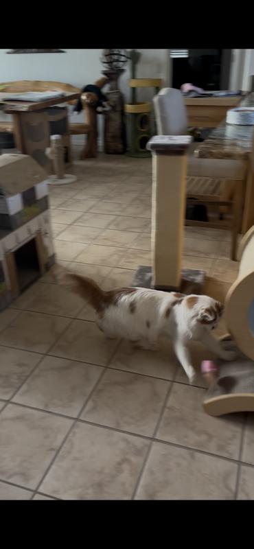 Easy to to bat around!