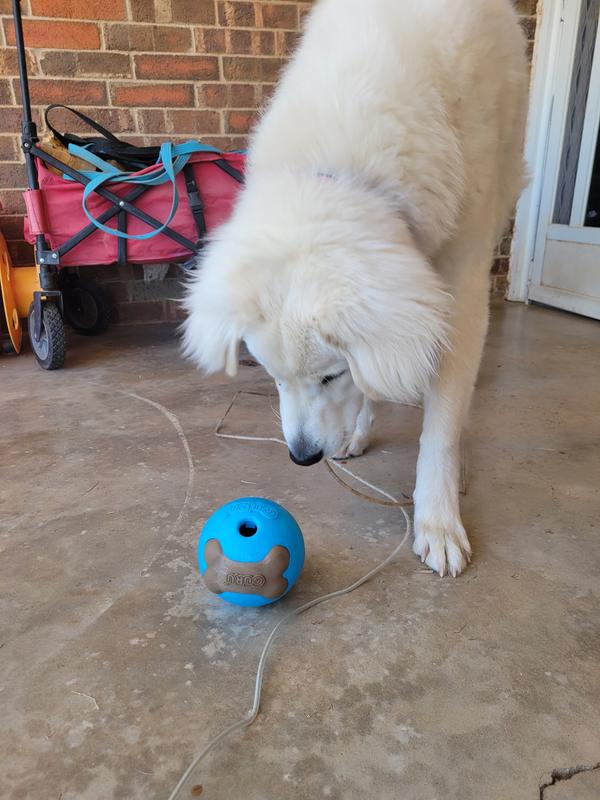 Showing her how it works