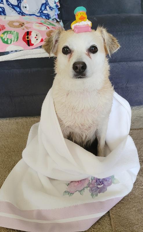 Soft and smelling great