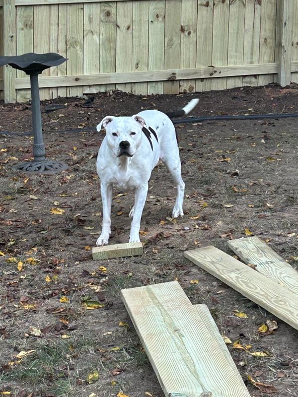 Whisper at her best!