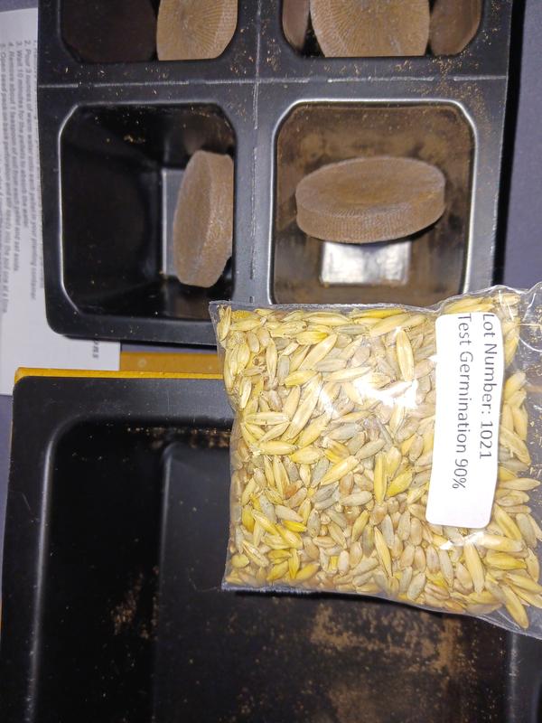 SMARTCAT Kitty's Garden Seed Refill Kit