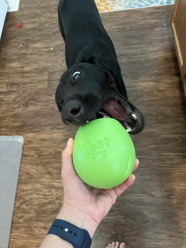 WEST PAW Zogoflex Rumbl Bouncy Treat Dispensing Dog Toy, Melon, Large