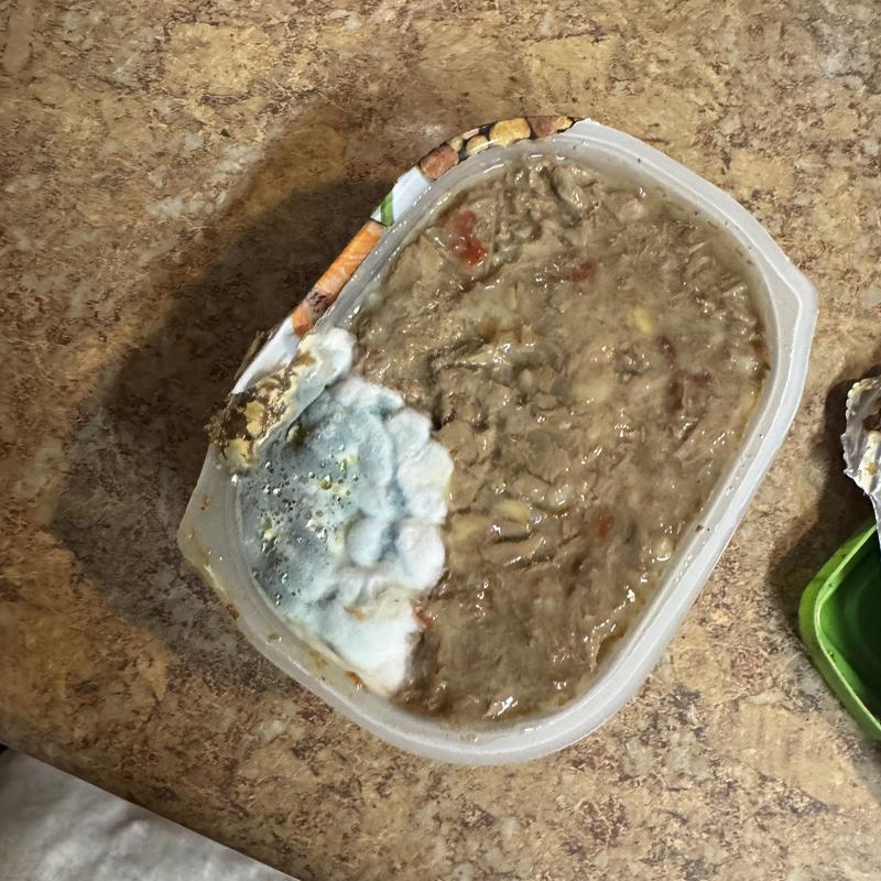 Molded Dog Food
