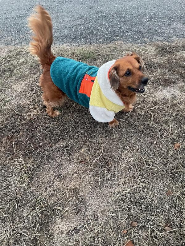 Frisco Colorblock Fleece Dog & Cat Hoodie w/ Pocket