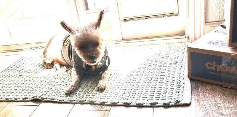 She loves her CozyVest!!