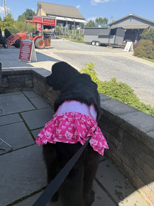 So cute and fits perfectly.  We accessorized with a pink hair bow